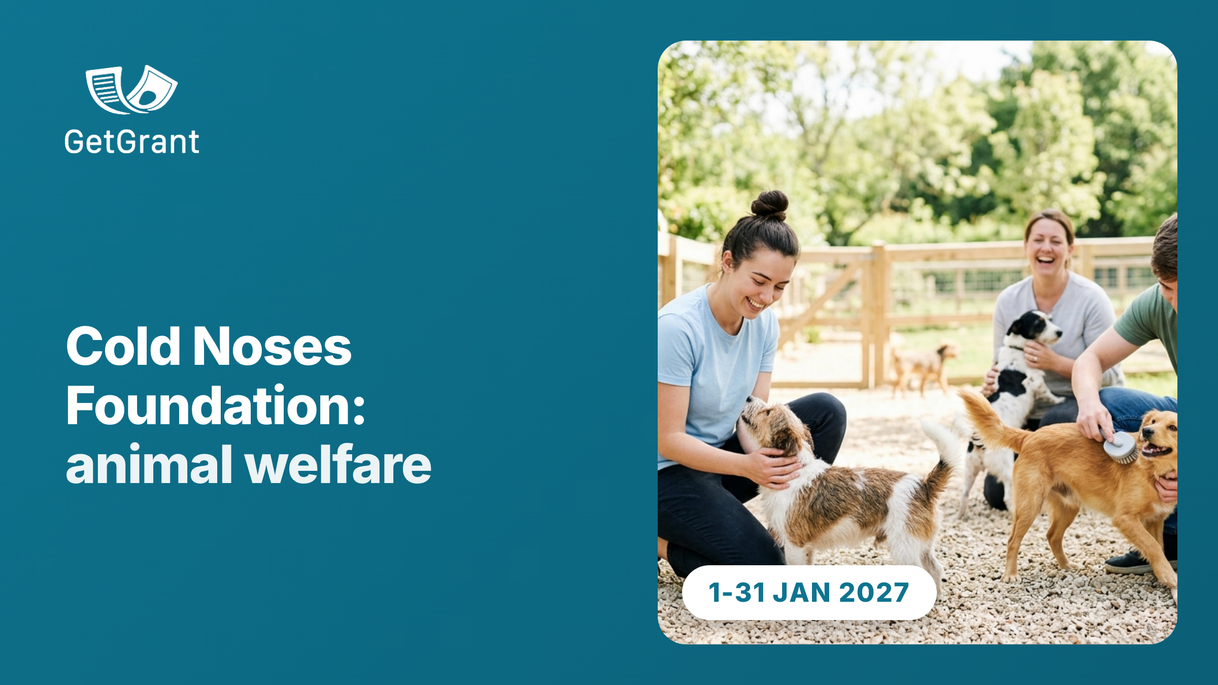 Cold Noses Foundation: grants for animal welfare organisations in Europe, application window 1 to 31 January 2027
