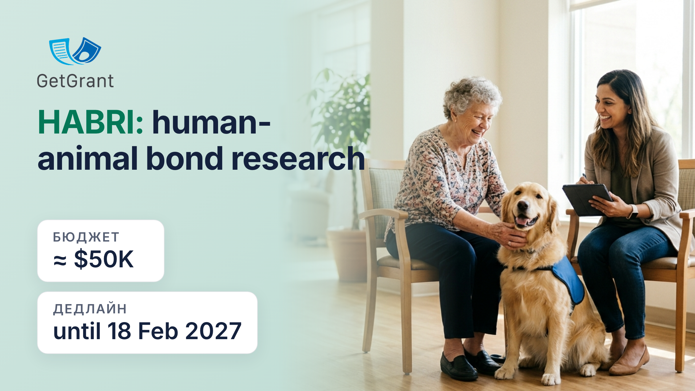 HABRI 2027: research grants on the health benefits of human-animal interaction, average award about USD 50,000, apply by 18 February 2027